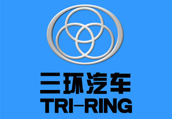 湖北三(san)環車橋(qiao)案例