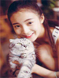 欧美成人A猛片