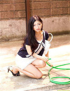 电视剧红高粱在线观看